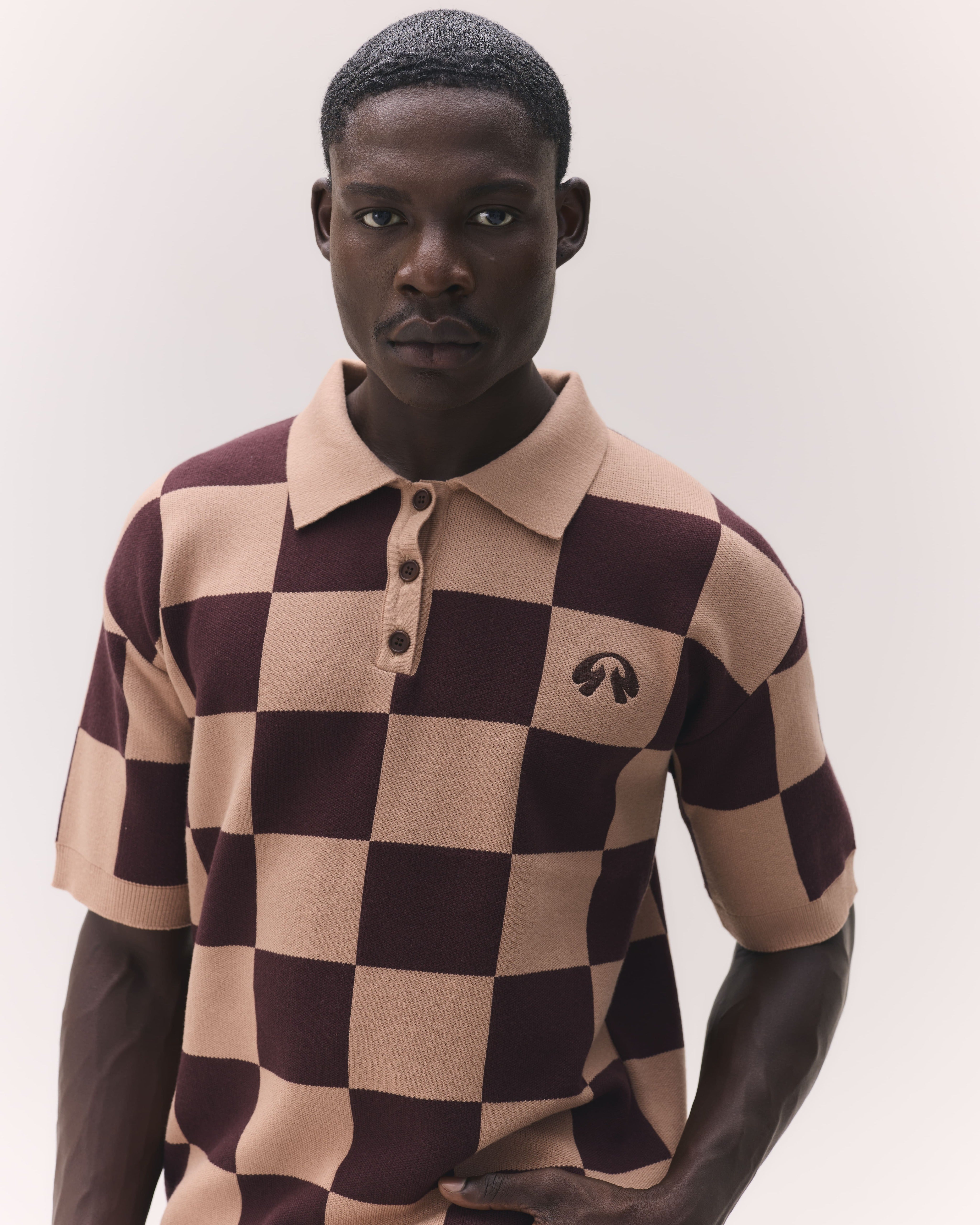 Polo Knitwear Brown